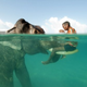 Illustration for article titled You wish your swimming buddy was a 3.5 ton elephant